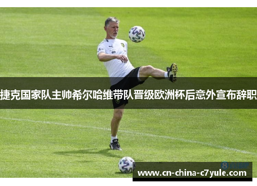 捷克国家队主帅希尔哈维带队晋级欧洲杯后意外宣布辞职 捷克国家队主帅希尔哈维带队晋级欧洲杯后意外宣布辞职